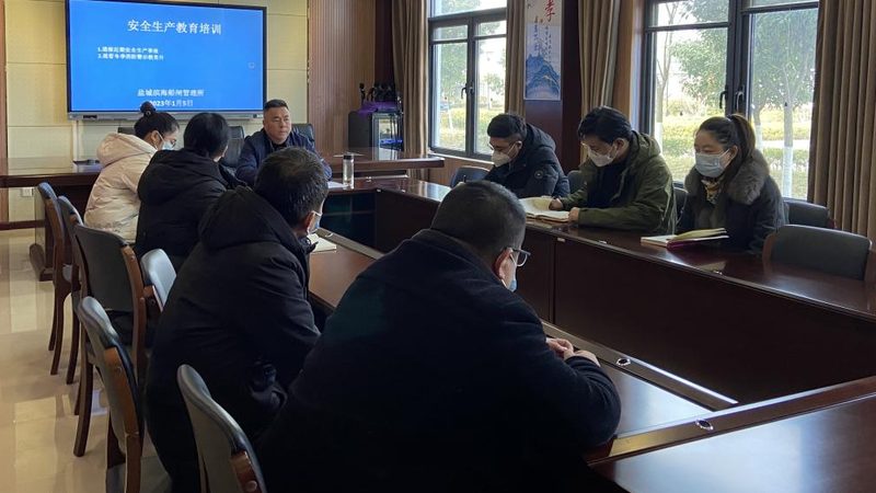 少儿编程入门：如何科学选择教材难度